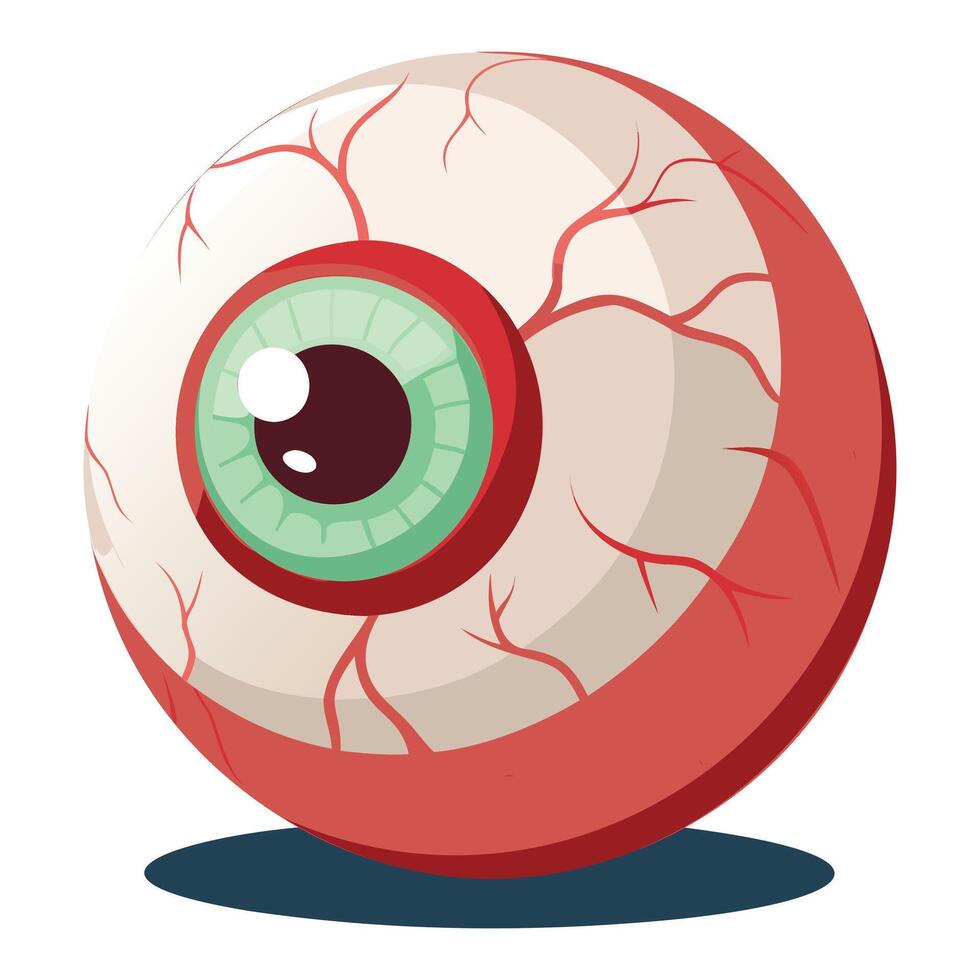 Anatomical Human Eye Illustrations vector