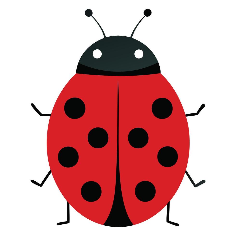 Tiny Wonders Designs vector