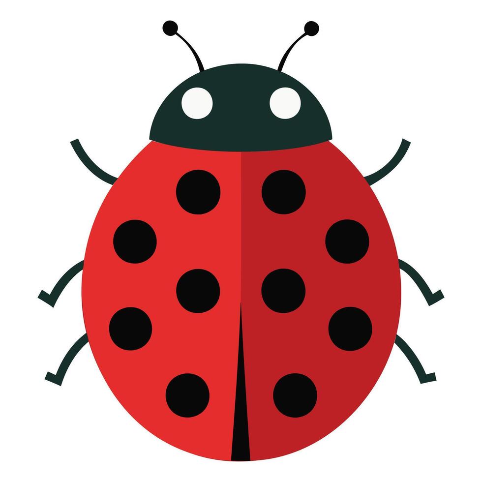 Detailed Insect Illustrations vector
