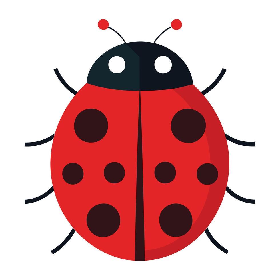 Creepy Crawler Graphics vector