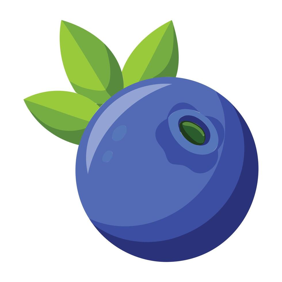 Fresh Blueberry Art vector