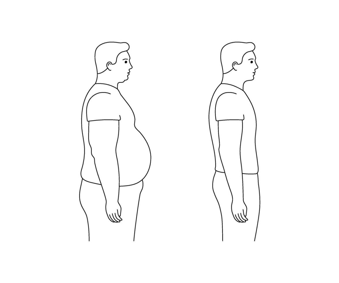Comparison of male body fat and thin. Weight loss with diet and sports, fitness. Figure obese and slim, size of person, body index mass. Risk diabetes with big belly. outline illustration vector