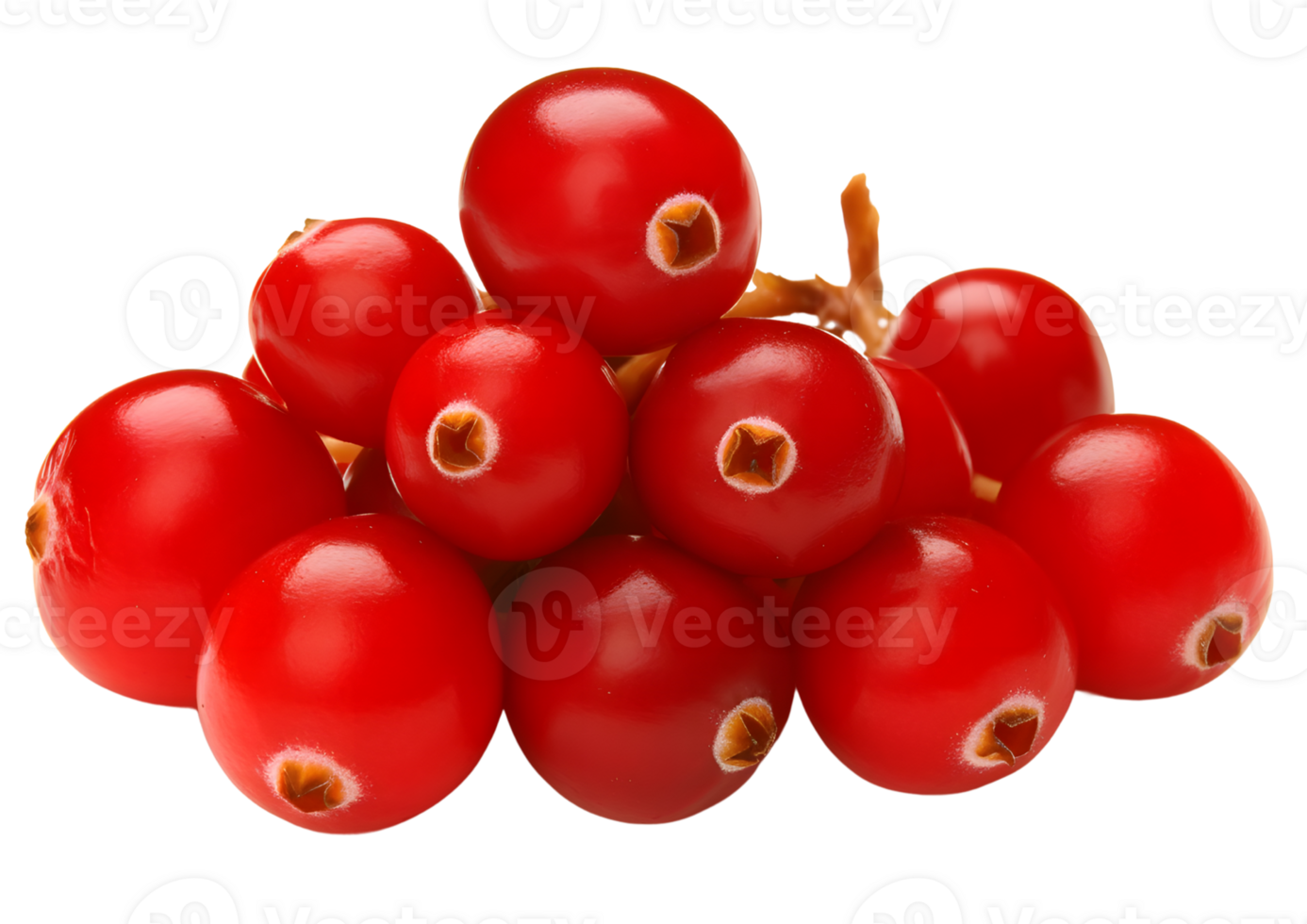 Fresh cranberries with transparent background for culinary and design applications. png