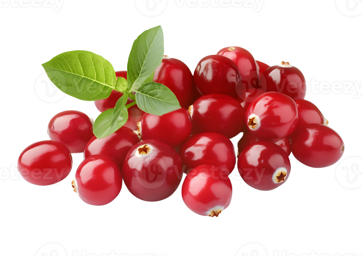 Fresh cranberries with transparent background for culinary and design uses. png