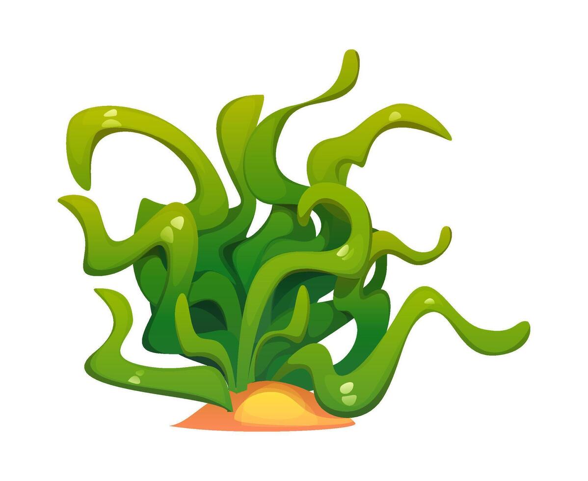 Cartoon green seaweed with curly glossy leaves vector