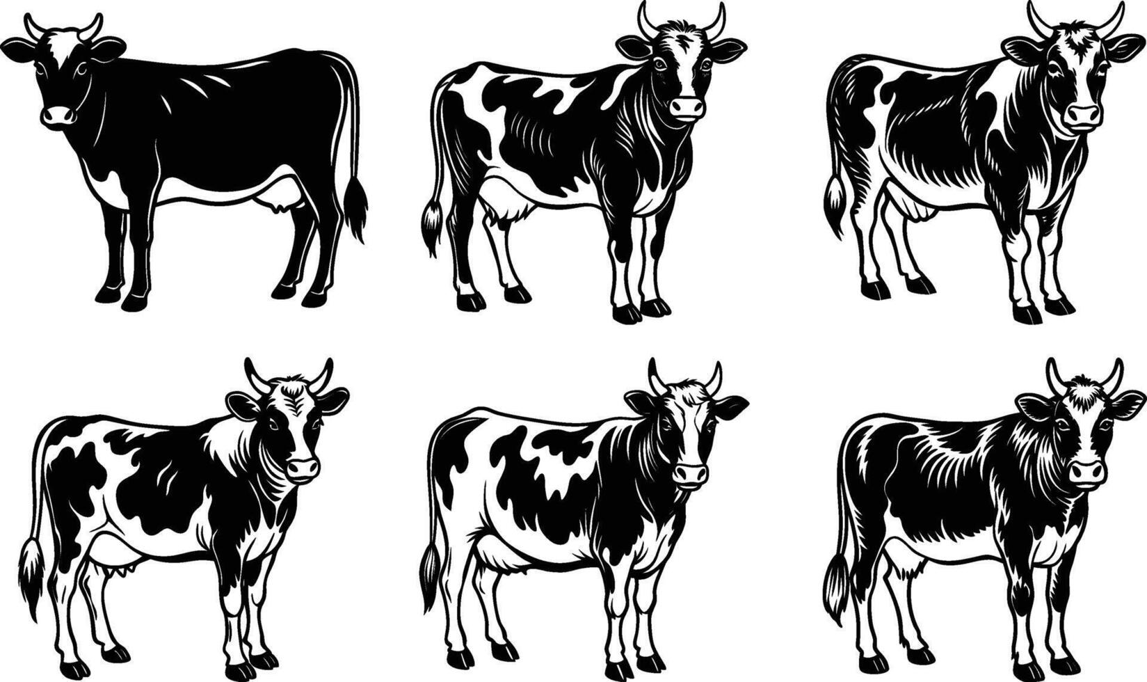 unique Six Black and White Cows Farm Animals Livestock vector