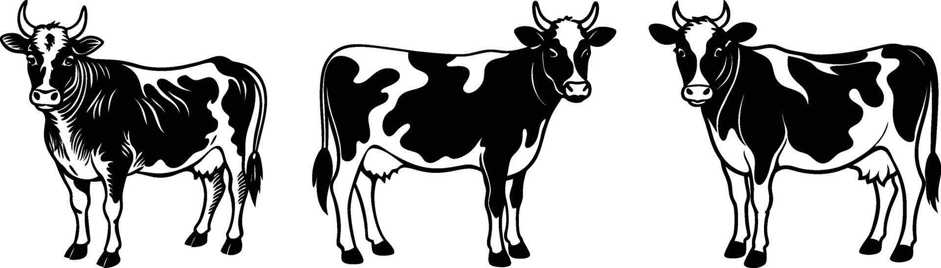 Three Black and White Cows Farm Animals Dairy Cattle vector