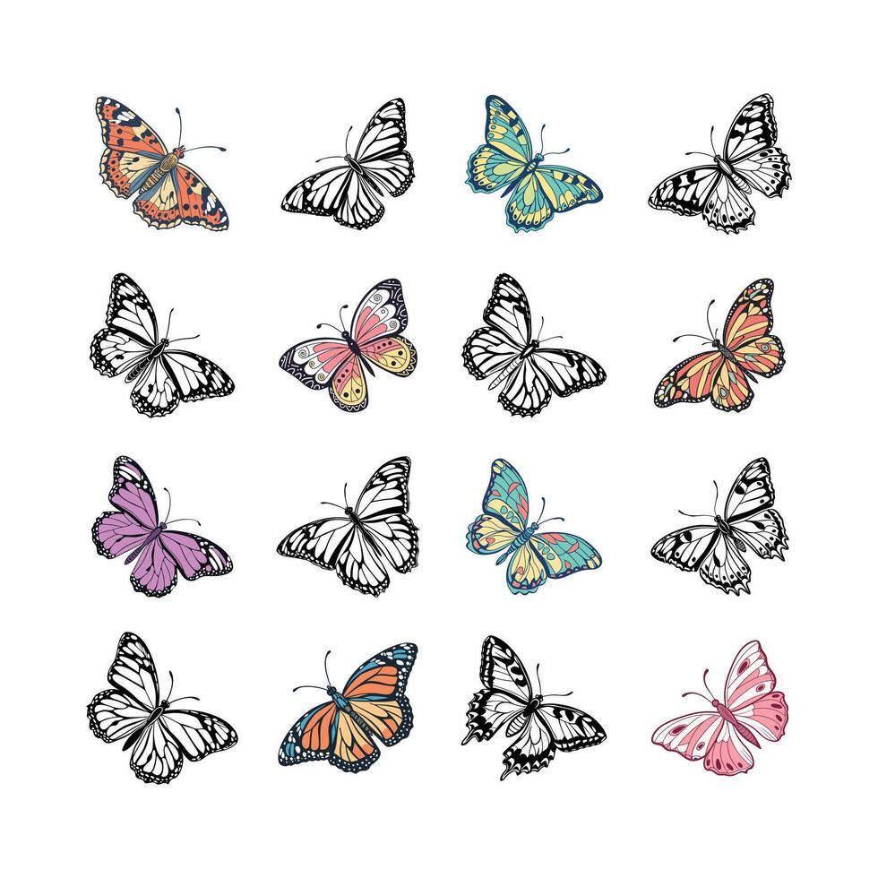 Butterfly Style Illustration vector