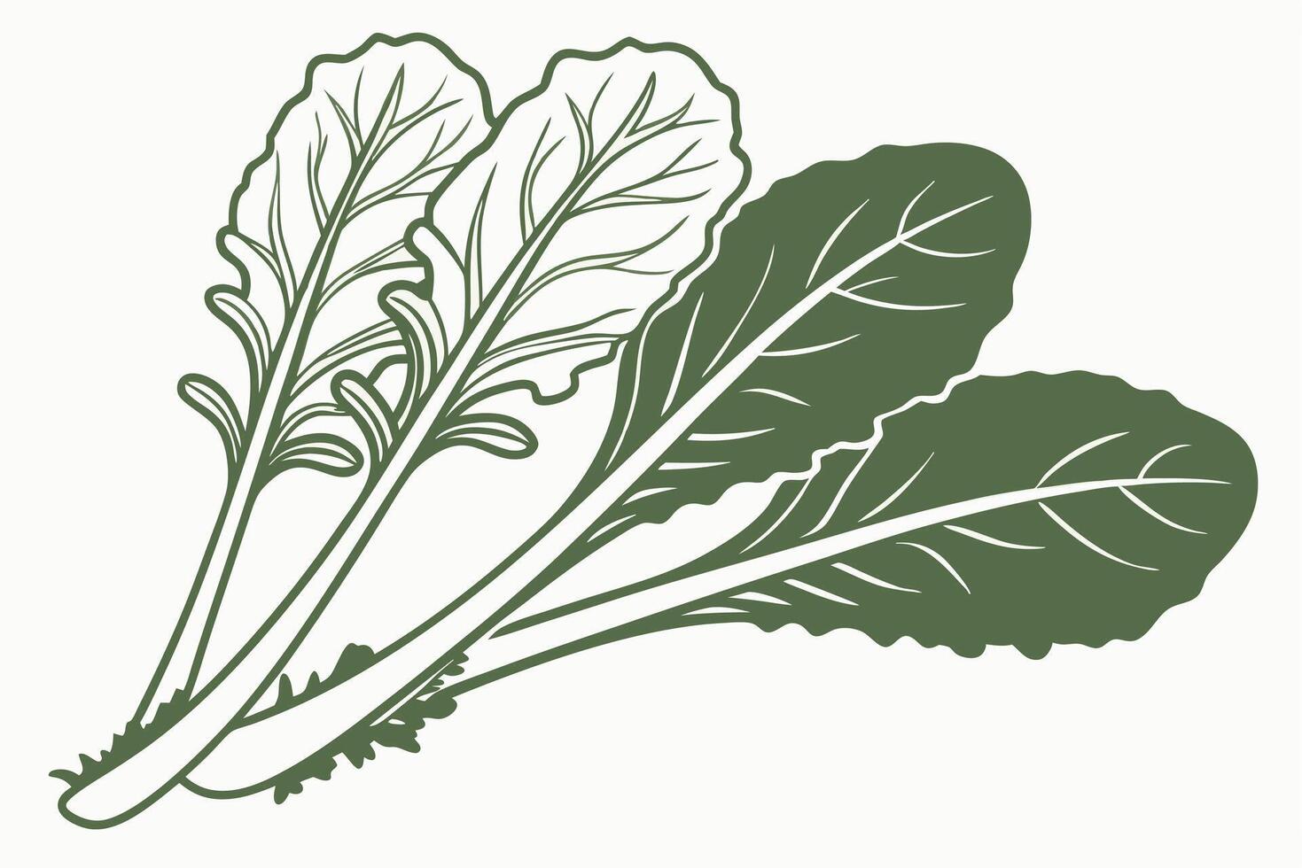 Green leafy vegetables illustration featuring fresh, vibrant leaves with intricate veins and textures, showcasing healthy eating and organic produce in a minimalist style vector