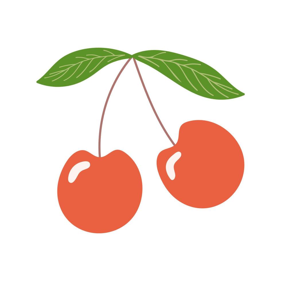 Pair of red cherry fruit with green leaves on white background for health, food, dessert, drink and harvest concept. vector