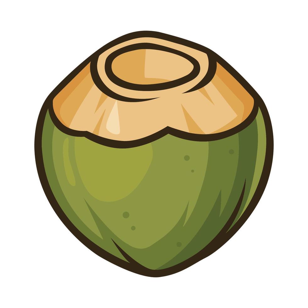 coconut fruit icon illustration vector
