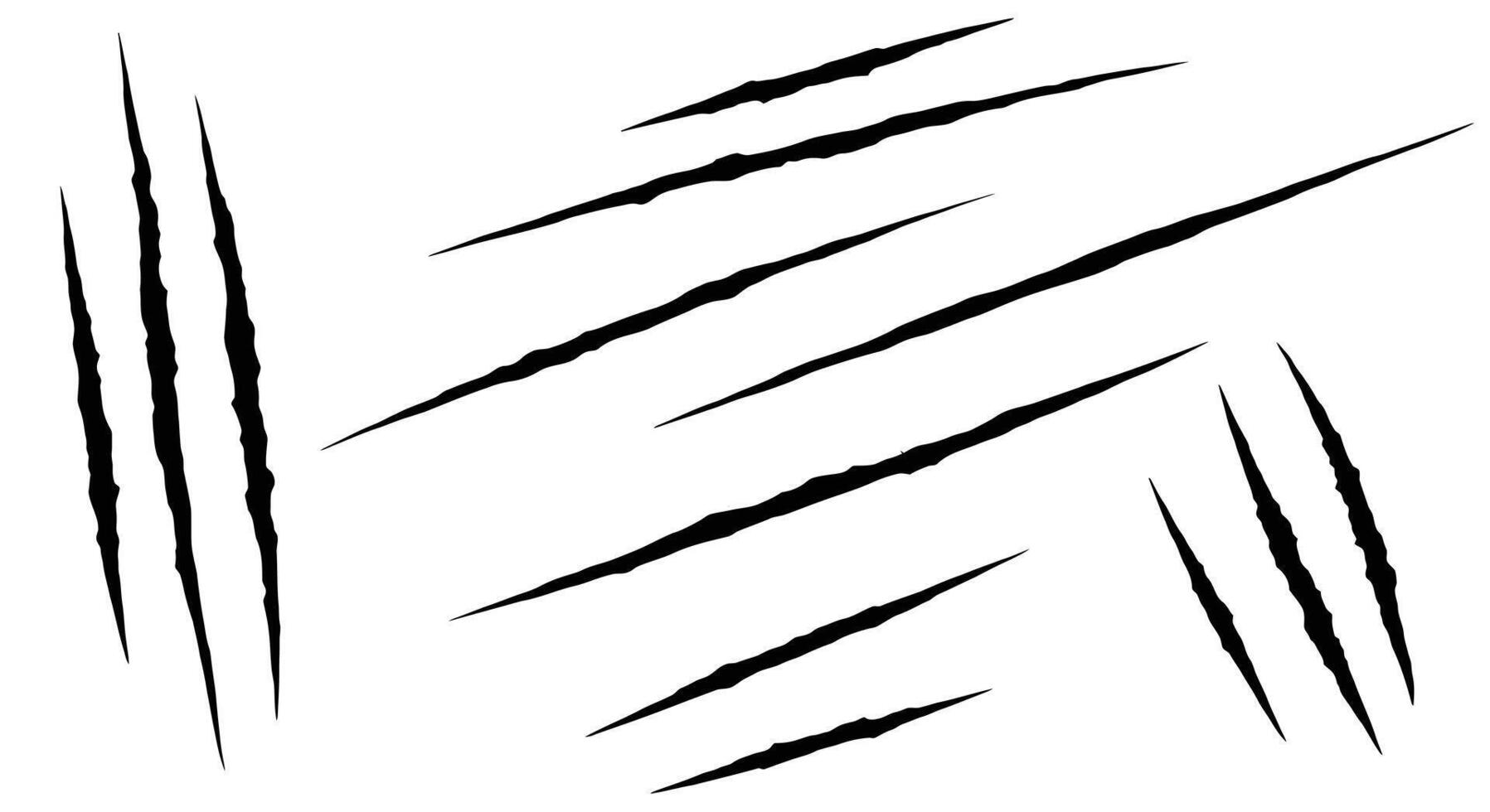 a set of claws and claws on a white background vector