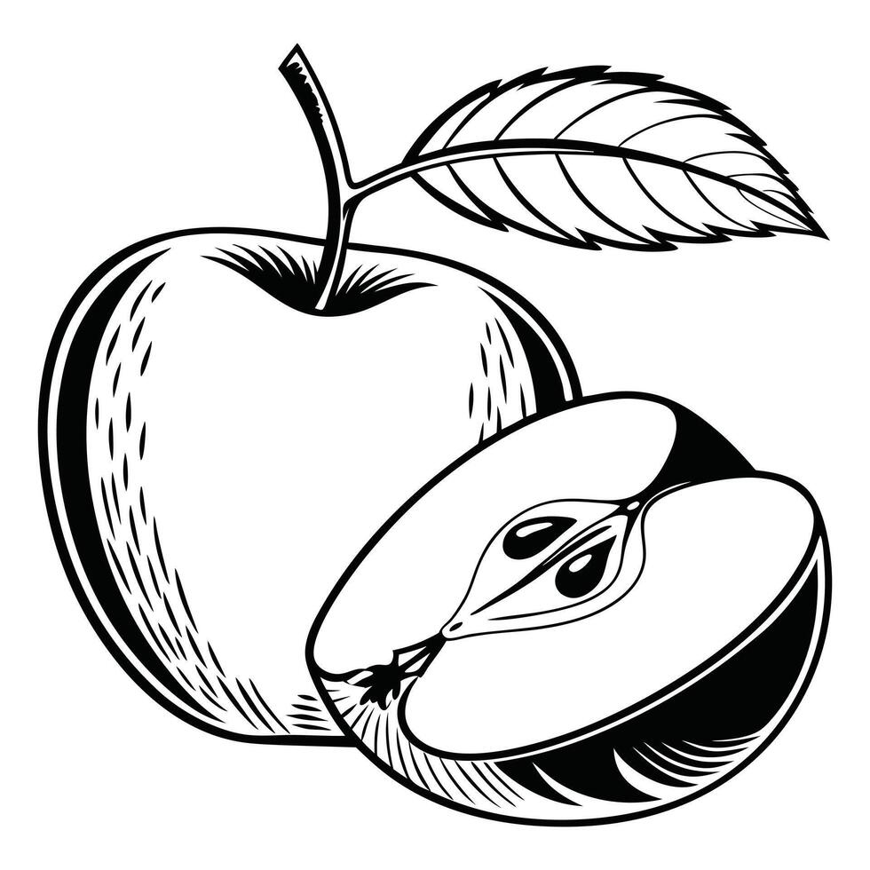Apple coloring pages free printable coloring pages vector