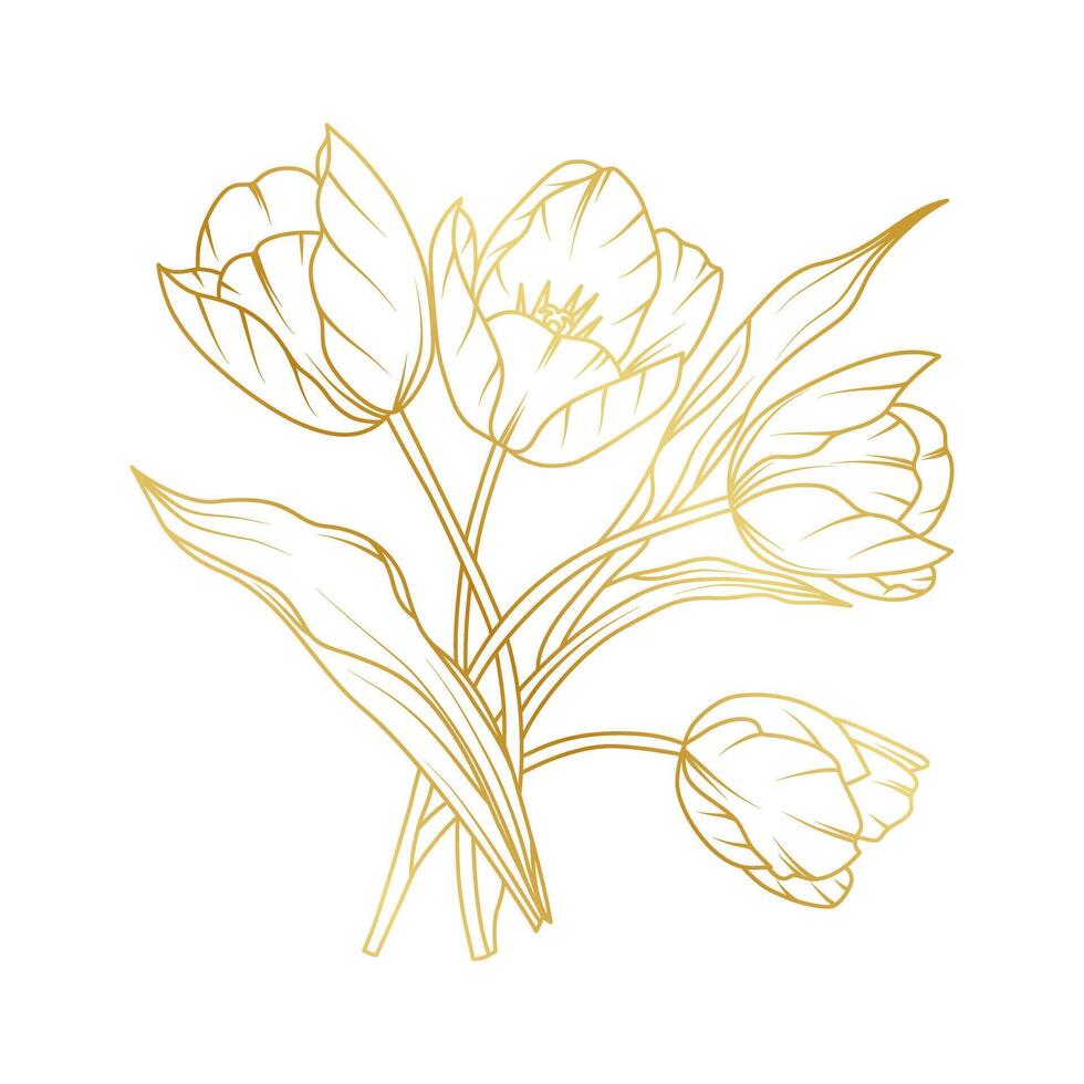 Golden tulip flowers line art isolated white background. Luxury tulip floral design elements for invitation, wedding, wallpaper, print template, illustration vector
