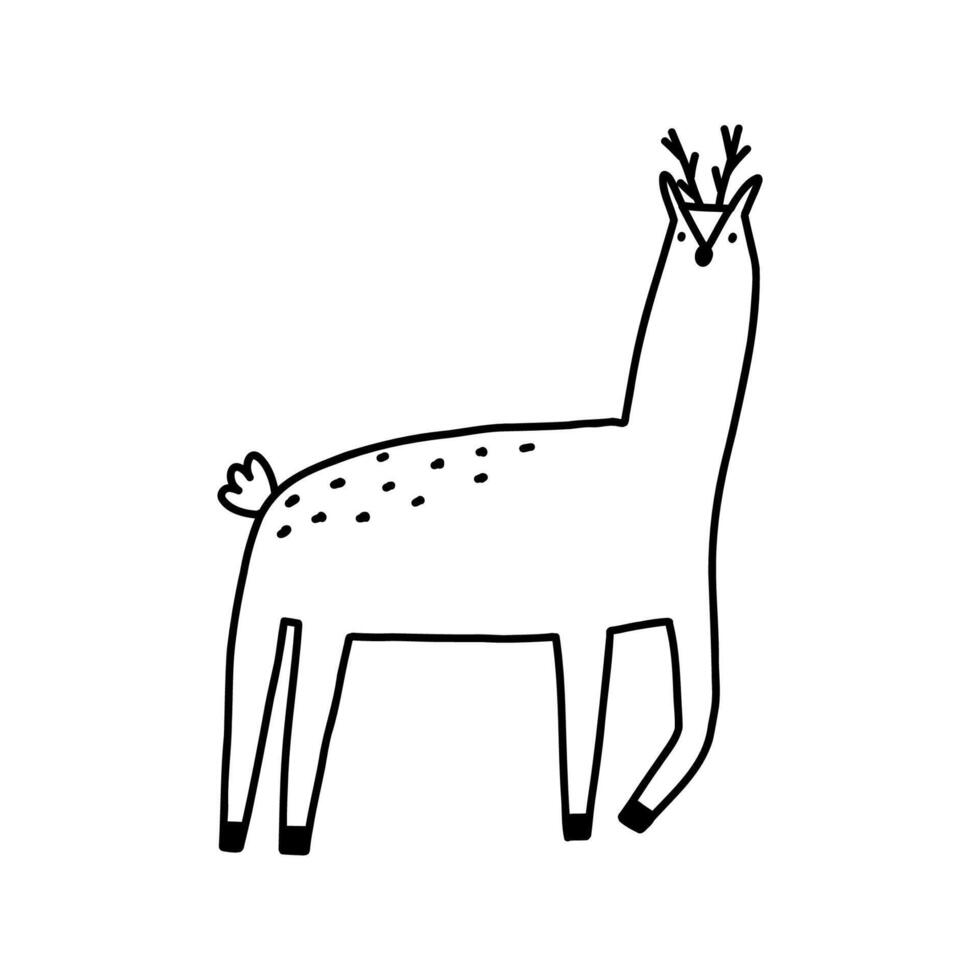 Cute reindeer in hand drawn doodle style, illustration isolated on white background. Wild animal outline drawing. vector