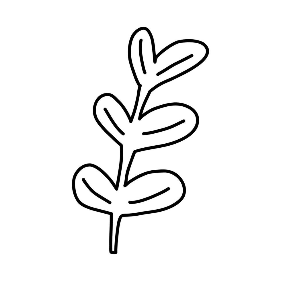 Hand drawn plant with leaves, outline doodle illustration isolated on white background. Monochrome botanical nature element. vector