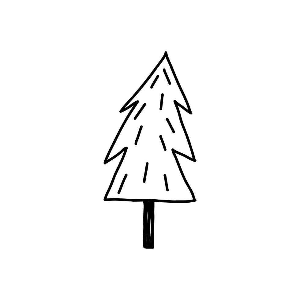 Hand drawn Christmas tree, cute doodle style, illustration isolated on white background. Cartoon fir tree in outline. Winter nature. vector