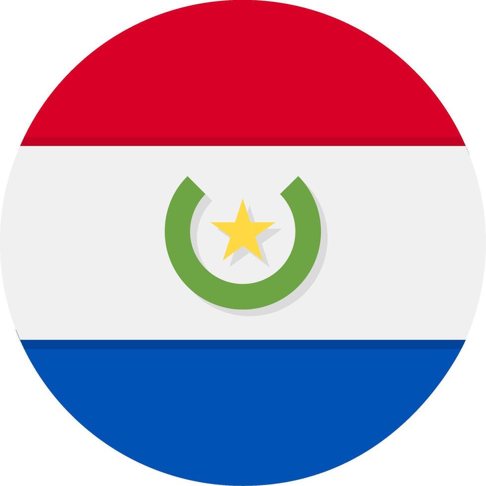 Flag of Paraguay vector