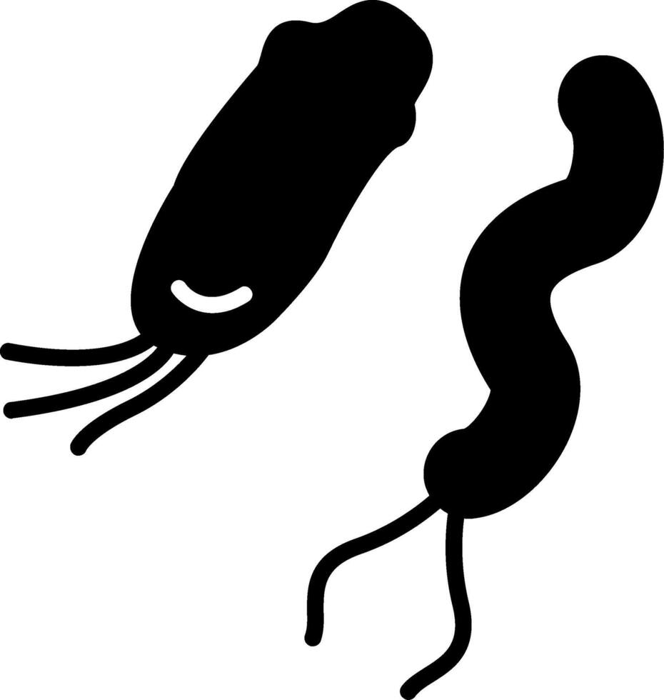 Spirillum minus Rat Bite Fever Bacteria Glyph vector