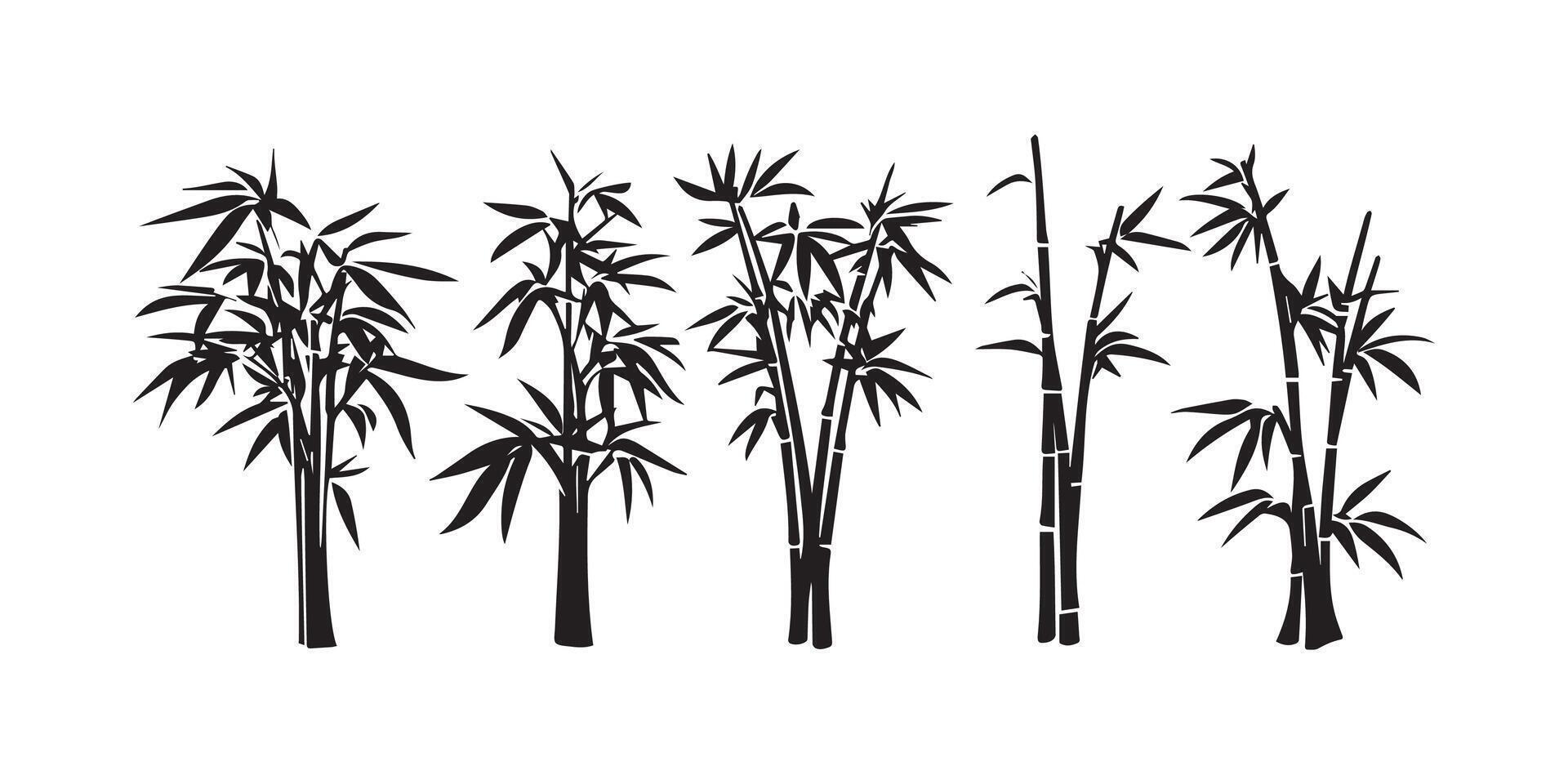 bamboo tree silhouettes on white background vector