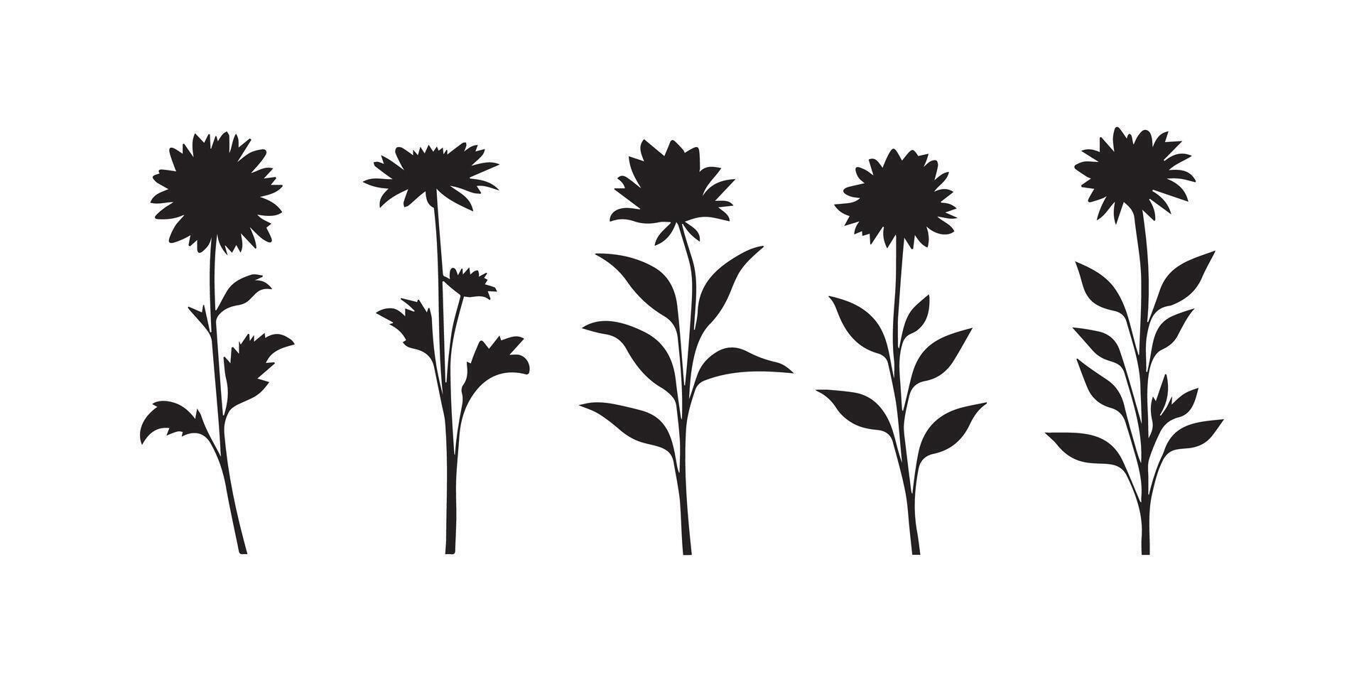 black and white silhouette of flowers on a white background vector