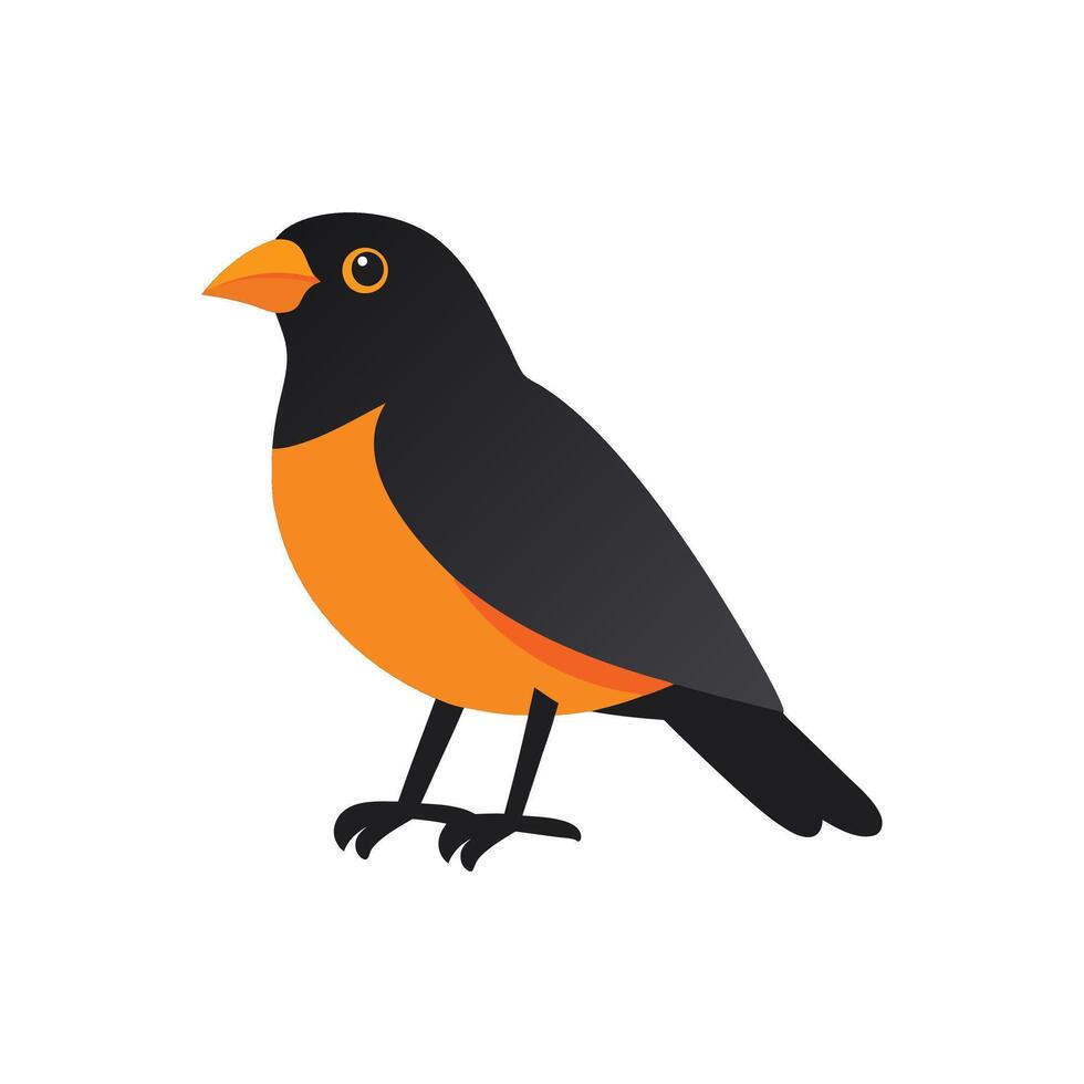 Orange And Black Bird Illustration vector