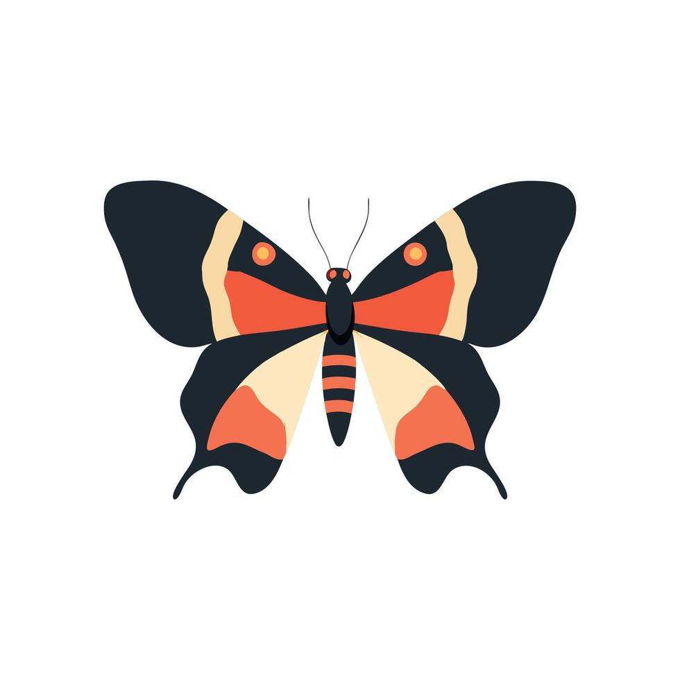 Orange and Black Butterfly Illustration vector
