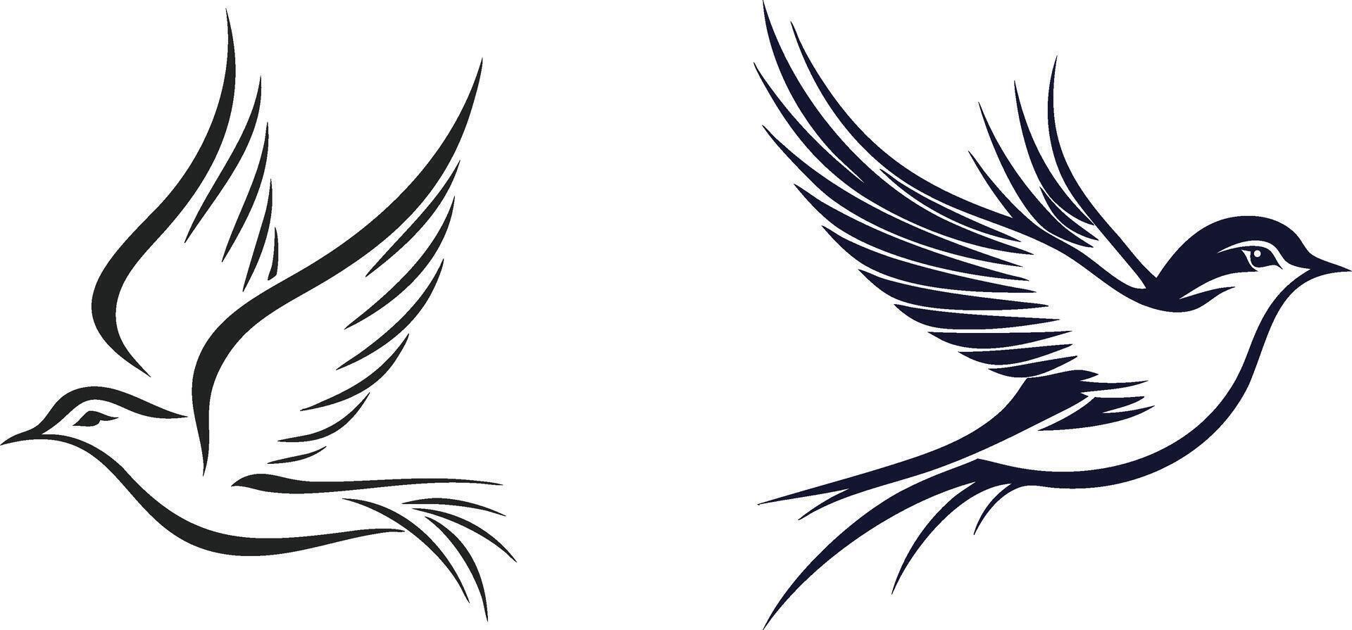 two birds flying in the air, one with a black and white design vector