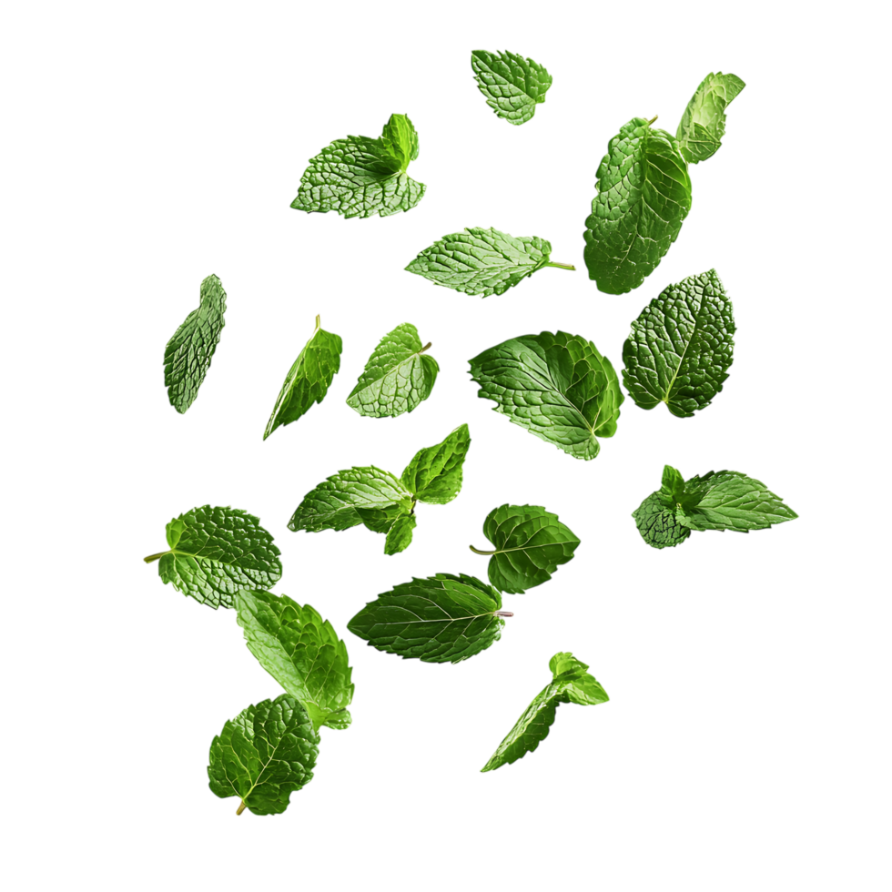 Scattered Mint Leaves Against Transparent Background for Beverage Packaging Concepts png