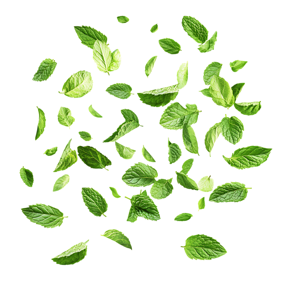 Cool Mint Motion Against Transparent Background for Eco-Friendly Product Design png