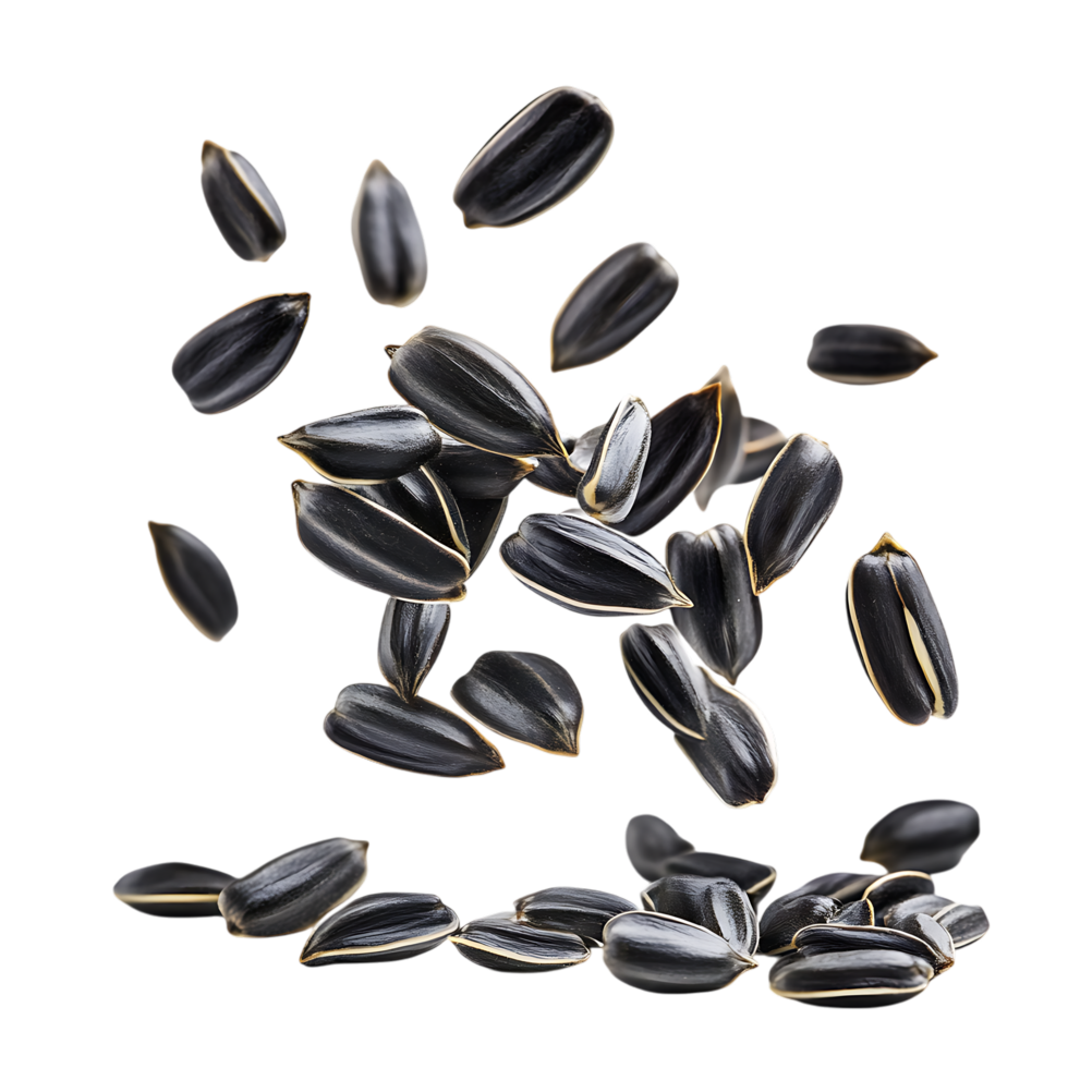 Black Sunflower Seeds Falling Against Transparent Background for Healthy Snack Branding png