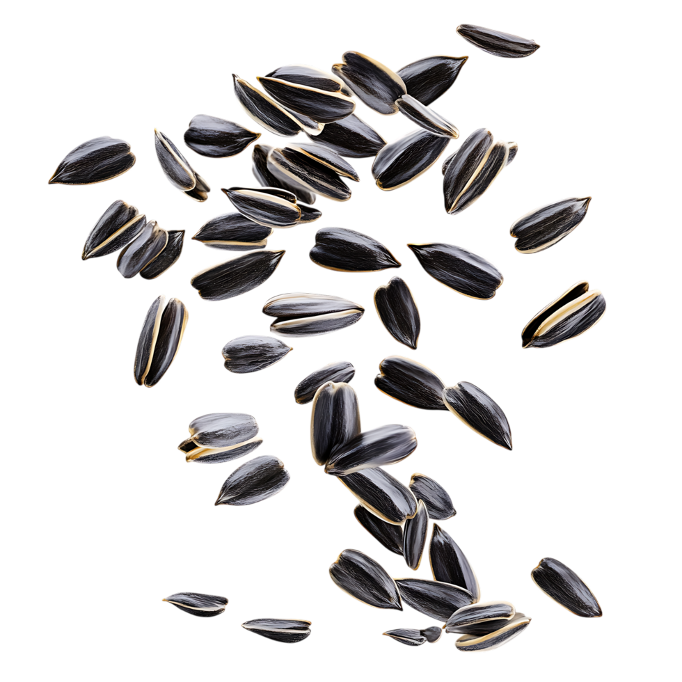 Scattered Black Seeds Against Transparent Background for Plant-Based Snack Branding png