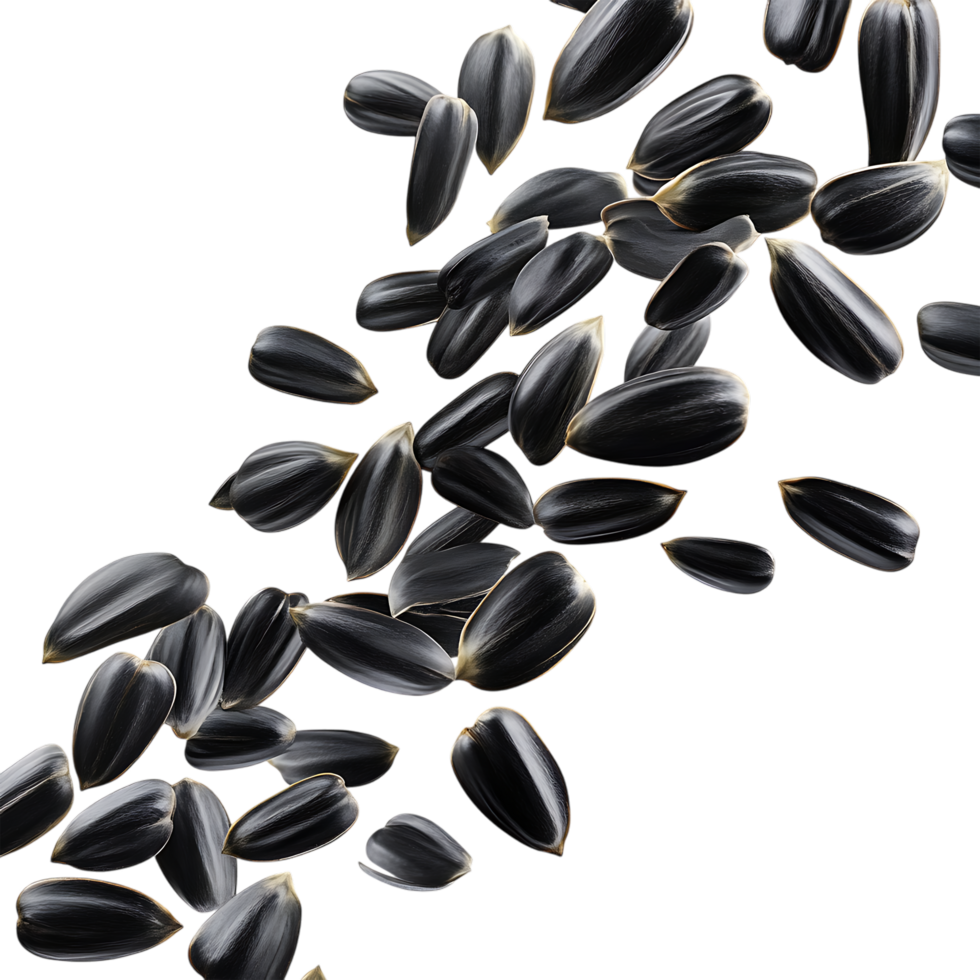 Roasted Sunflower Seeds Falling Against Transparent Background for Health Food Ads png