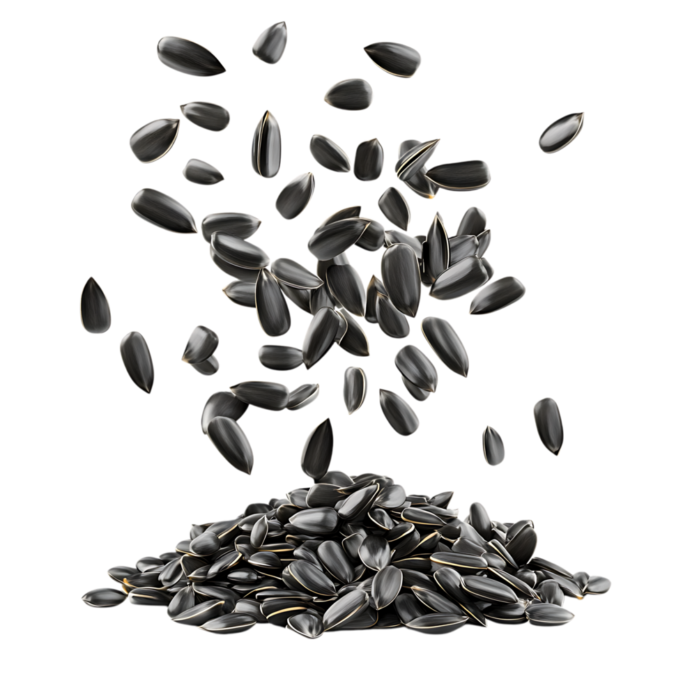 Nutritious Sunflower Seed Drop Against Transparent Background for Snack Visuals png