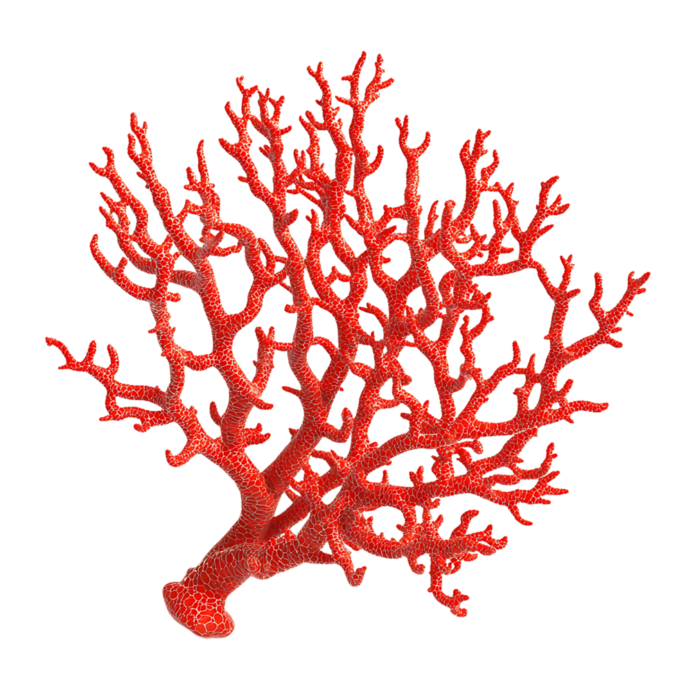 PNG Vibrant Red Coral Branch Against Transparent Background.