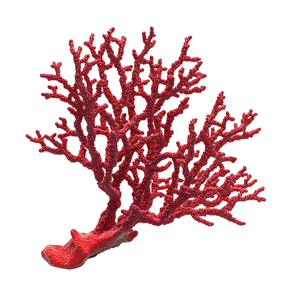 PNG Vibrant Red Coral Branch Against Transparent Background.