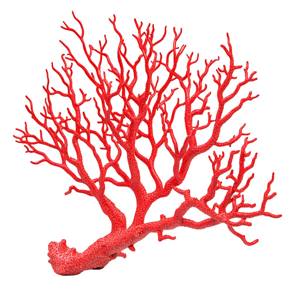 PNG Vibrant Red Coral Branch Against Transparent Background.