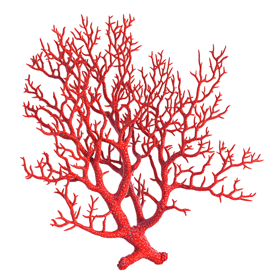 PNG Vibrant Red Coral Branch Against Transparent Background.