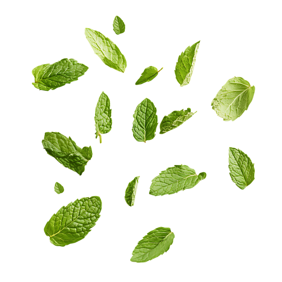 Fresh Mint Leaves Falling PNG Against Transparent Background for Herbal Remedies, Organic Products, or Refreshing Beverage Designs