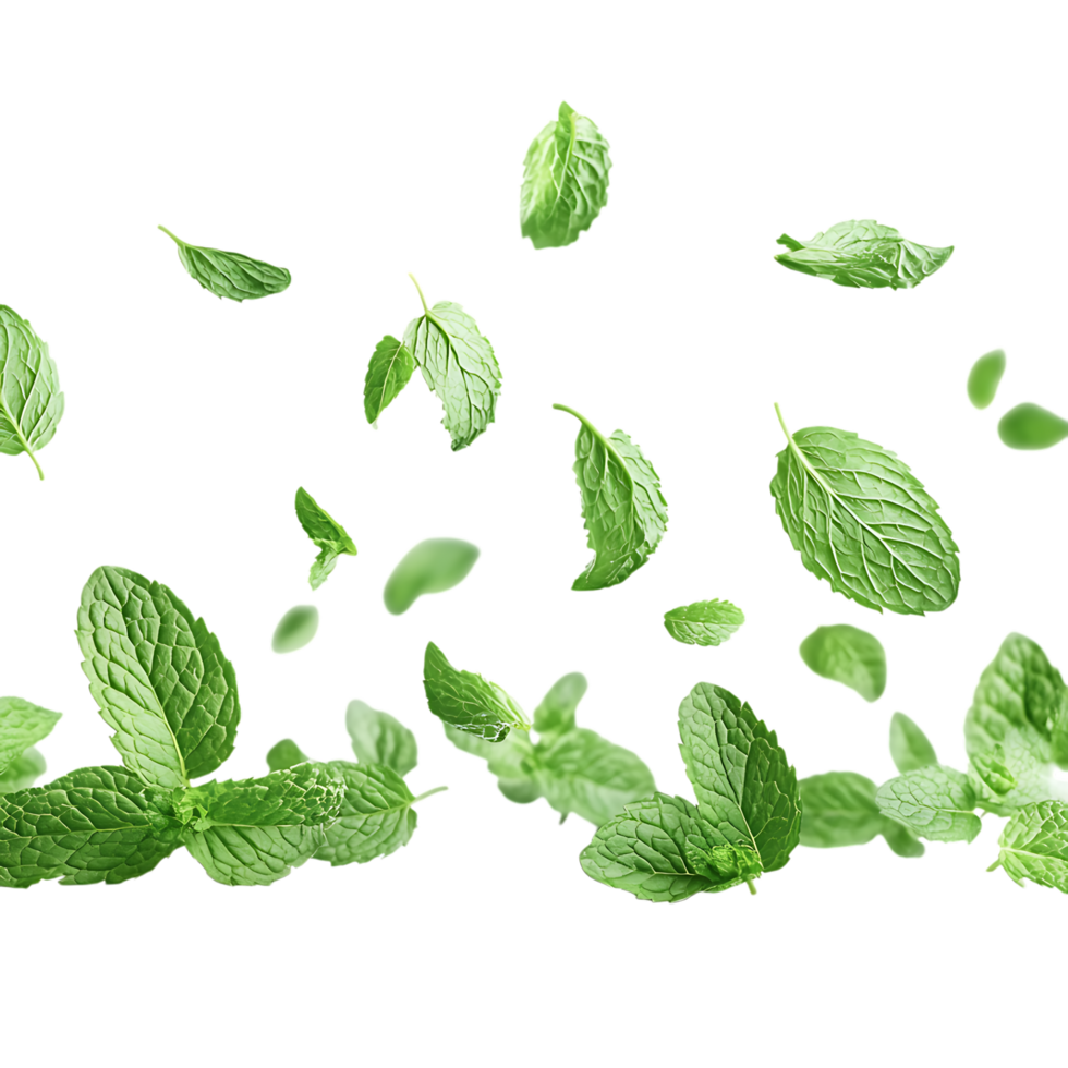 Fresh Mint Leaves Falling PNG Against Transparent Background for Herbal Remedies, Organic Products, or Refreshing Beverage Designs