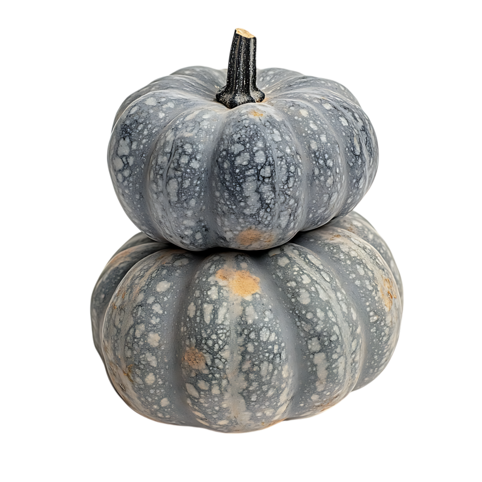 PNG Stack of Three Mini Pumpkins Against Transparent Background