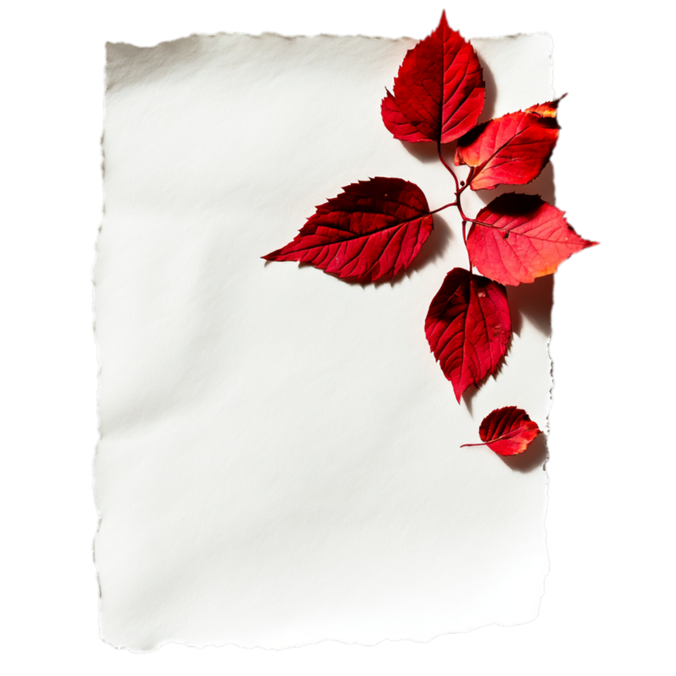 PNG White Paper with Red Leaves and a Red Leaf on It Against Transparent Background for Elegant Design Projects