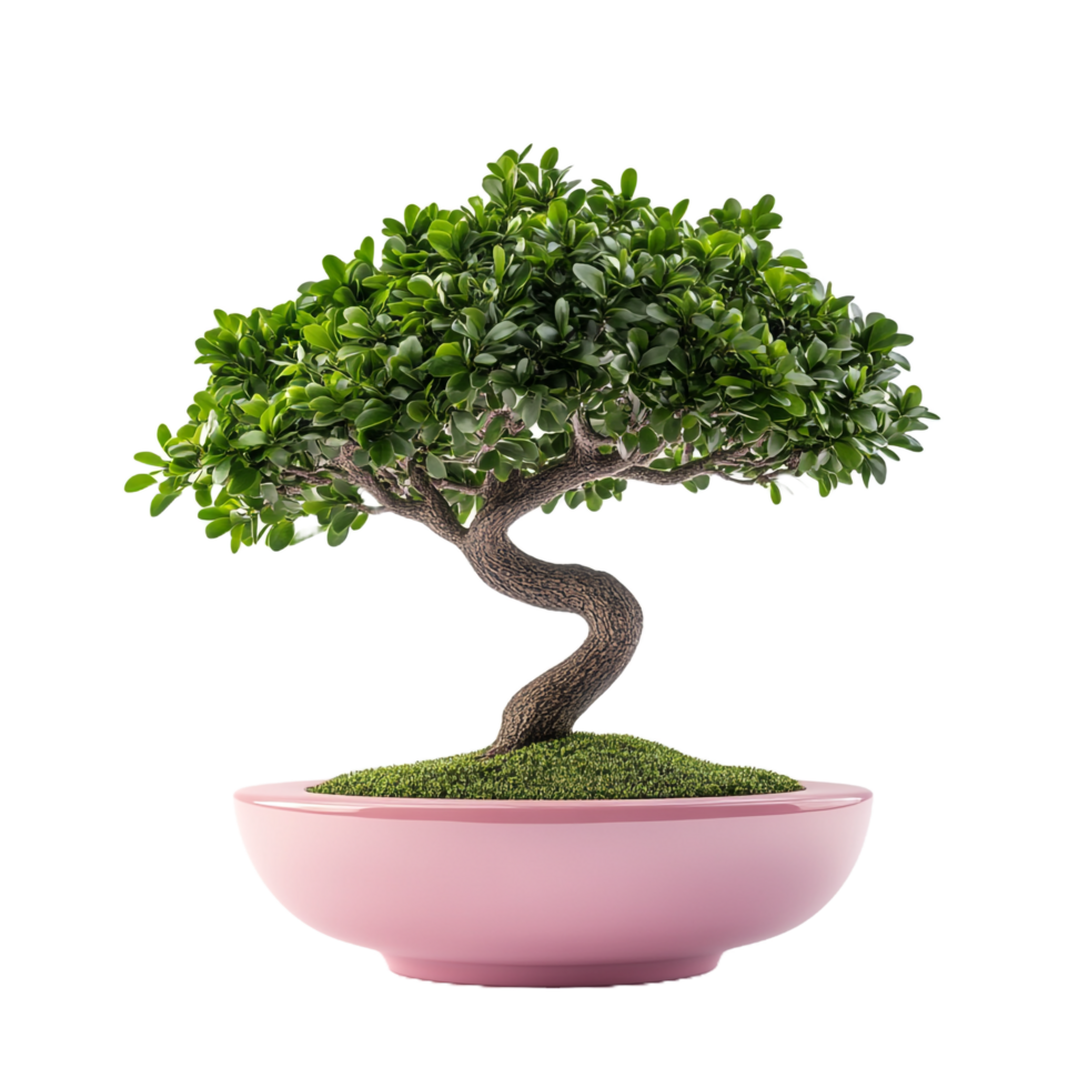 Unique Wagashi Designed Bonsai Tree in a Pink Container png