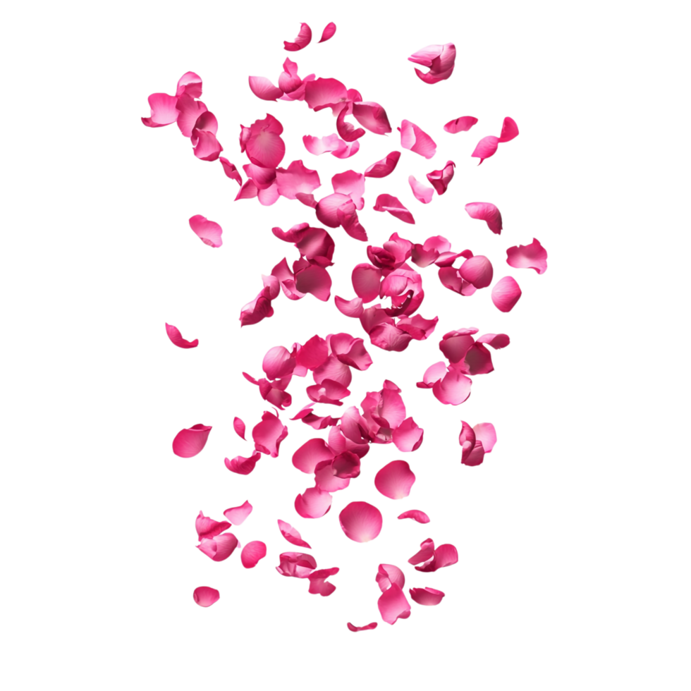 Pink Petals for Valentine's Day, Rose Petals Flying Aesthetic Against Transparent Background png