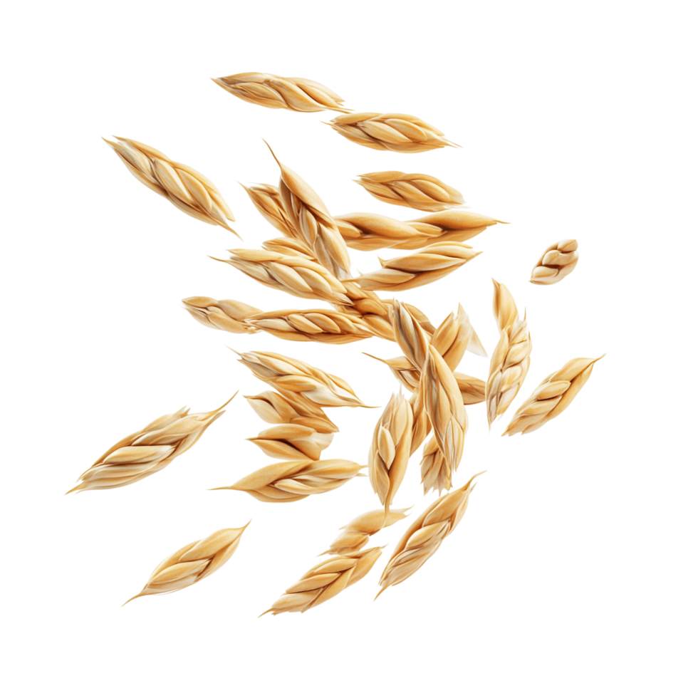 Floating Peeled Ripe Wheat Seed 3D Rendering Against White Background png