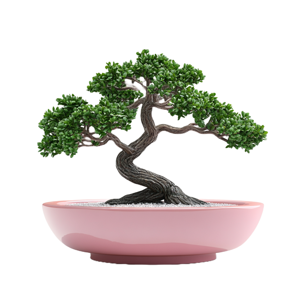 Unique Wagashi Designed Bonsai Tree in a Pink Container png