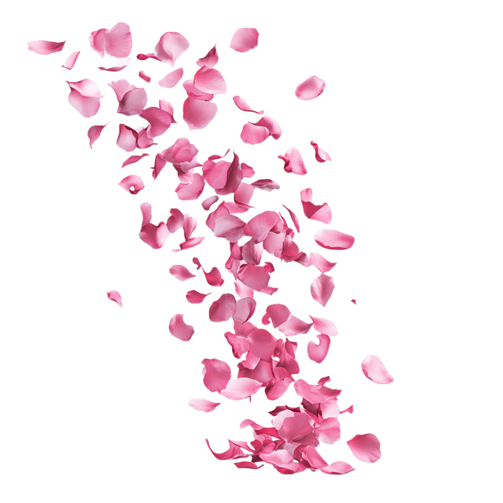 Pink Petals for Valentine's Day, Rose Petals Flying Aesthetic Against Transparent Background png