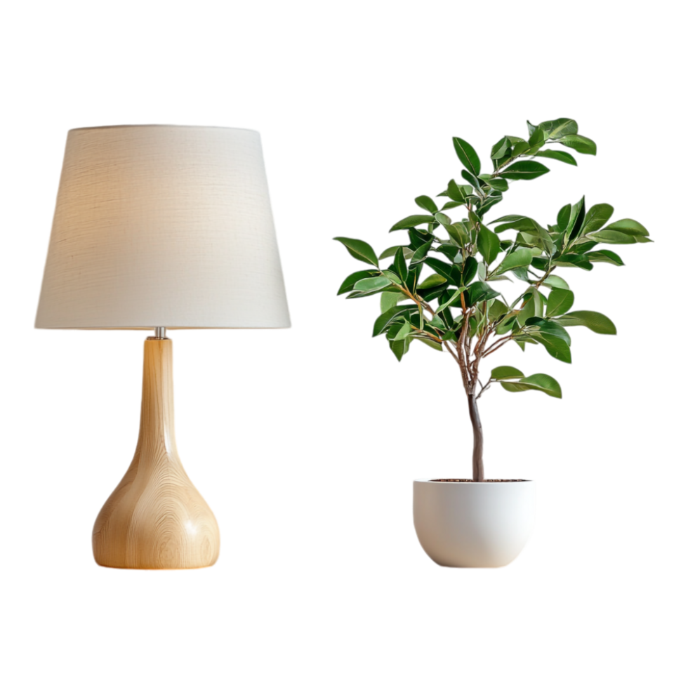 Lamp and Green Plant on Wooden Table Isolated Against a transparent Background png