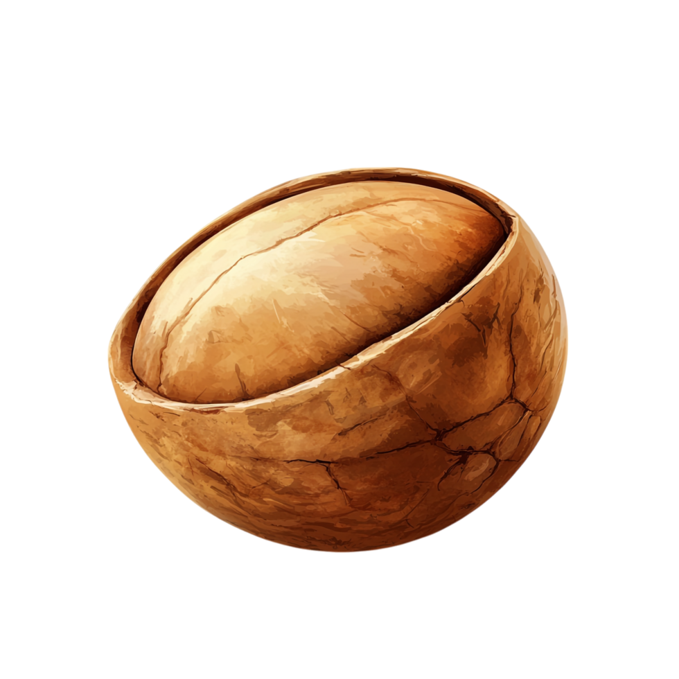 PNG A Single Almond Nut Close-Up Against Transparent Background for Nut-Based Recipes, Health Themes, or Food Illustrations