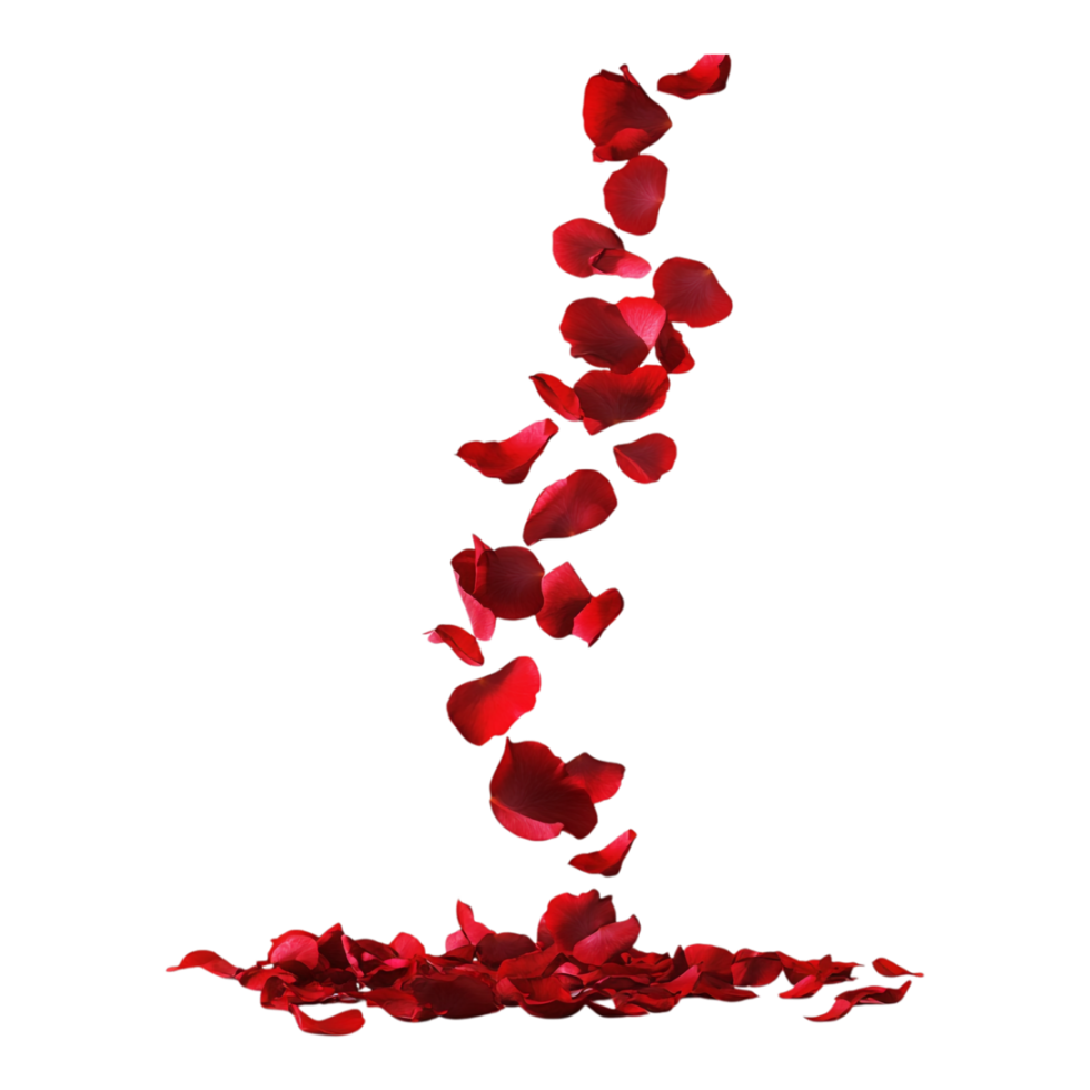 Stunning Red Rose Petals Drifting from the Side png
